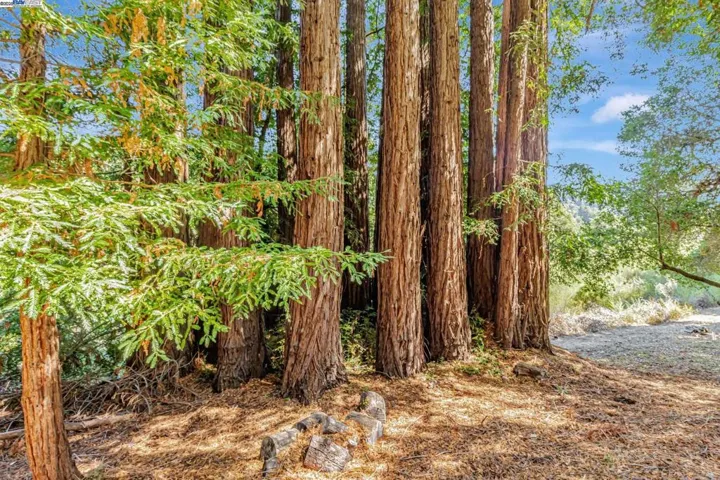 24400 Mountain Charlie Rd, Los Gatos, California 95033