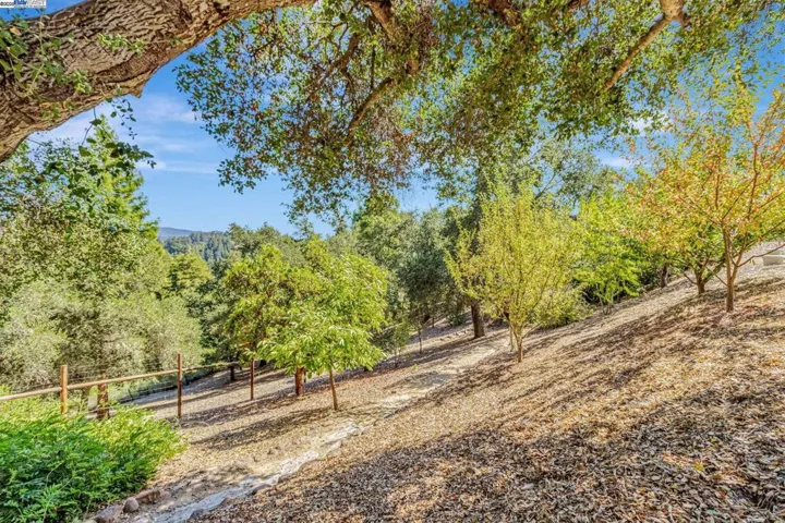 24400 Mountain Charlie Rd, Los Gatos, California 95033
