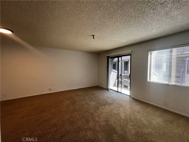 Living room features large window and slider for lots of natural light.