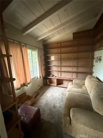 Den or Study
