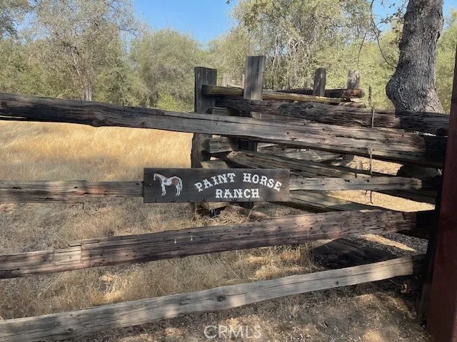 Orig Paint horse ranch sign