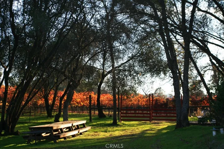 Vineyard gate and picnic area