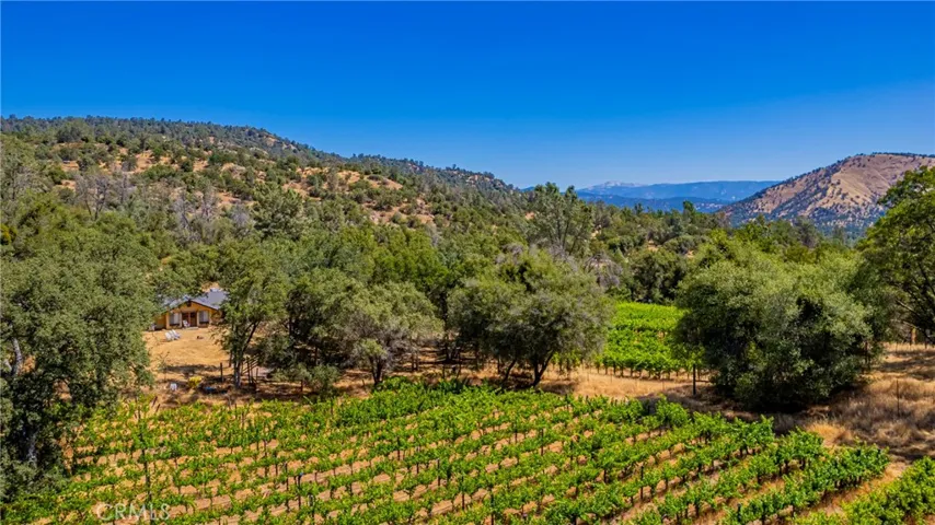 Vineyard to cottage