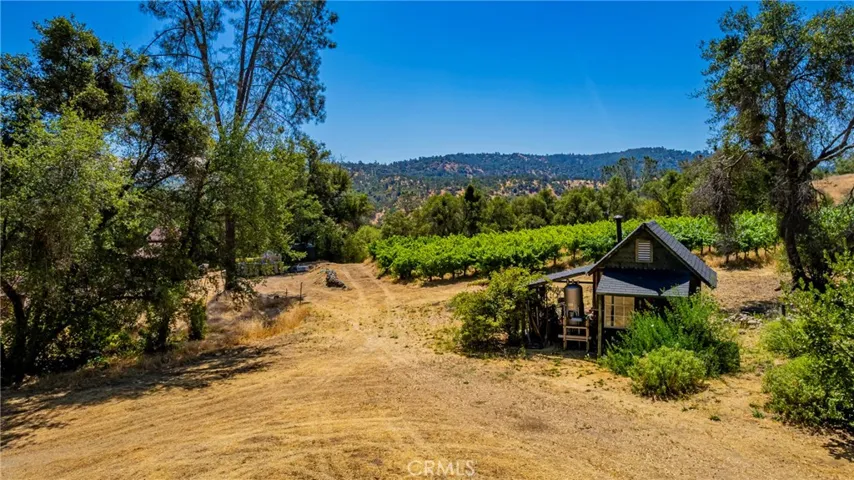 vineyard and pump house