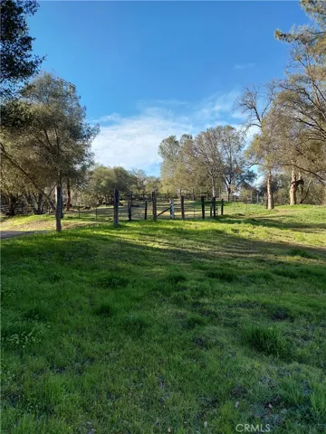 Pasture