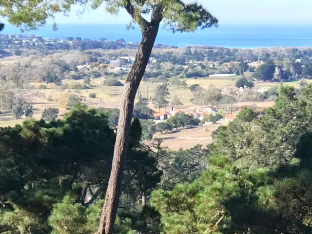 27 Del Mesa Carmel, Carmel, California 93923