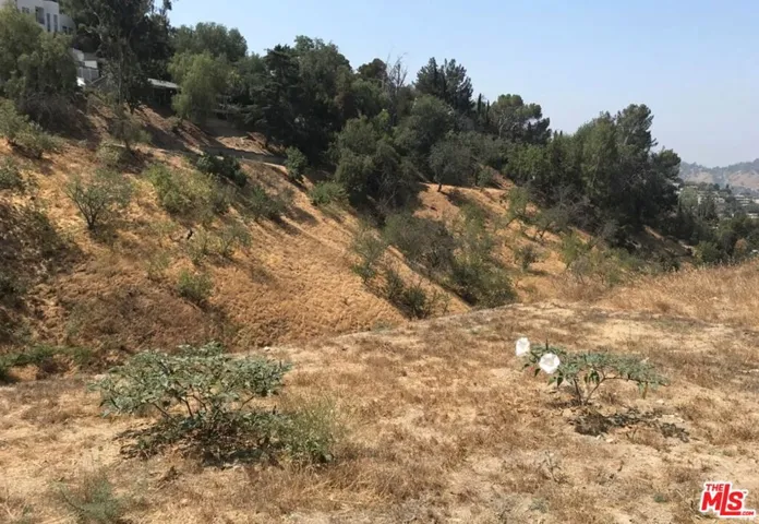 3628 N Paseo Drive, Glassell Park, California 90065 — photo 4