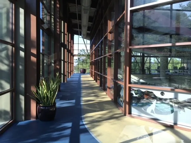 No Excuses, Rain Or Shine! The A/C Walking Is Available Daily.