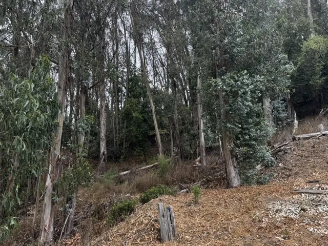 6595 Thornhill Drive, Oakland, California 94611