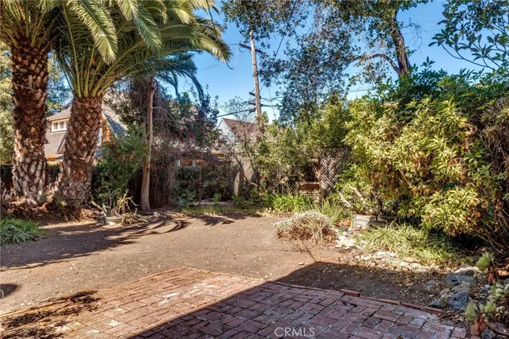 Part of the backyard.