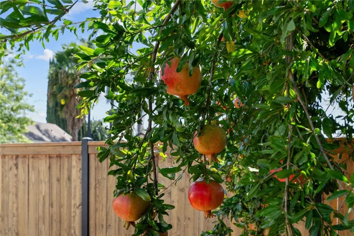 Pomegranates!