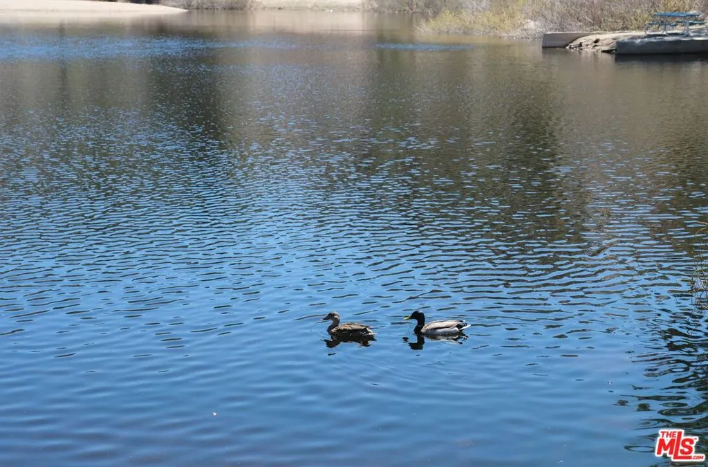 33186 Arrowbear Drive, Running Springs, California 92382 home-pic-32