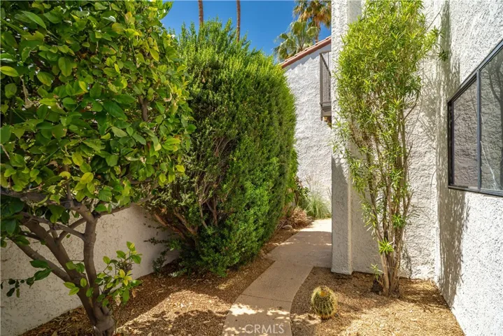 Backyard to patio