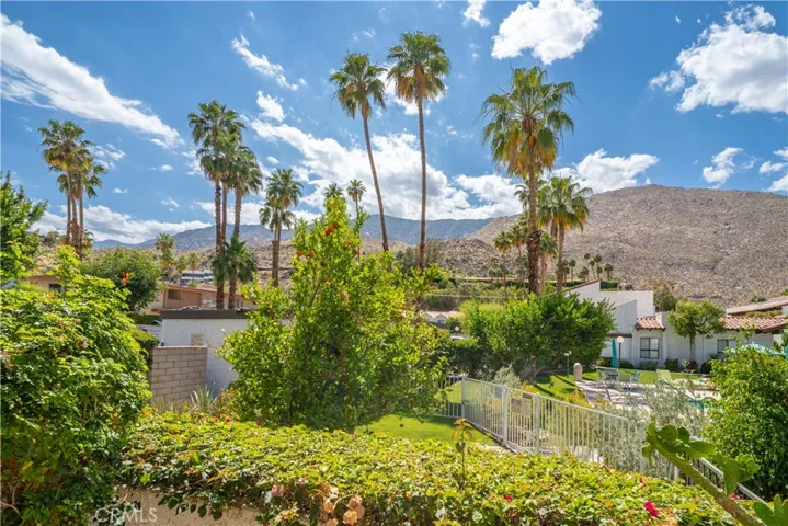 scenic view from backyard