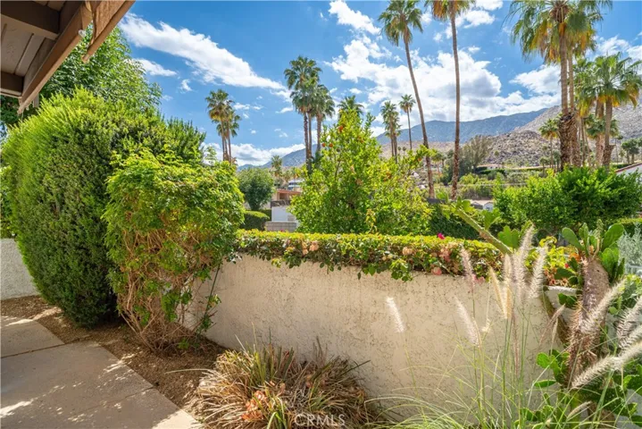 2240 Palm Canyon Dr 20, Palm Springs, California 92264
