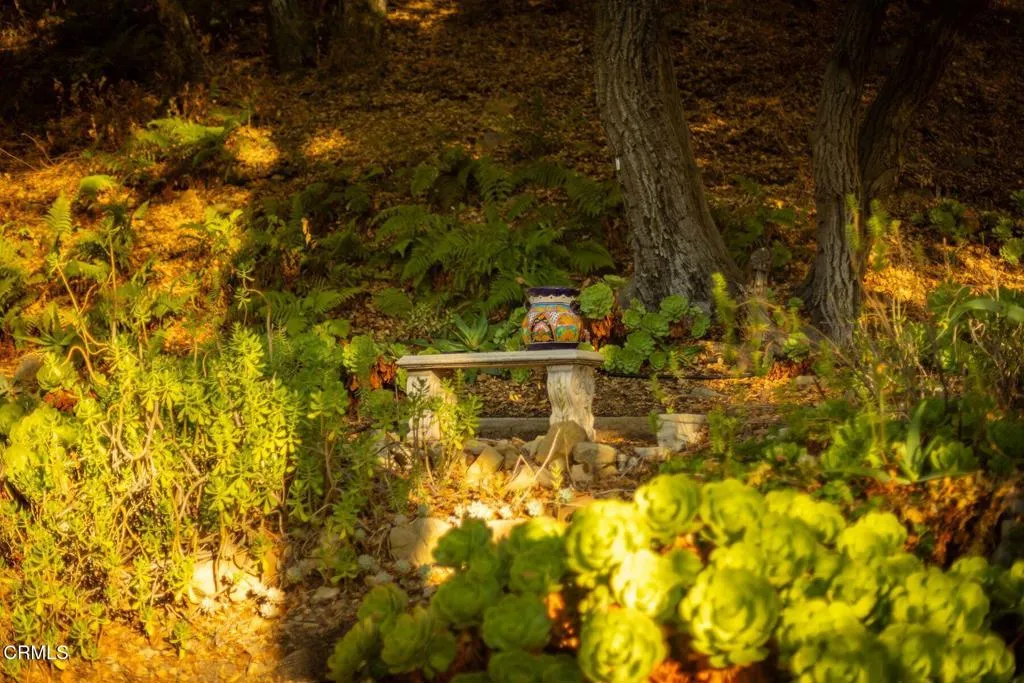 16152 Maricopa Highway, Ojai, California 93023 home-pic-38