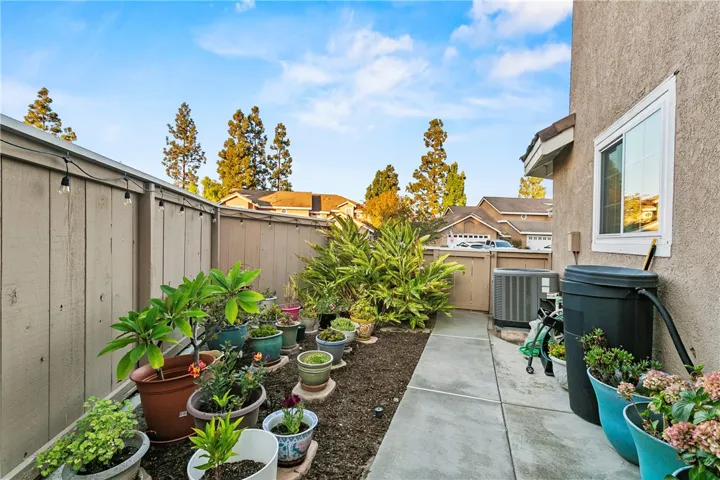 Side yard, perfect for a vegetable garden area