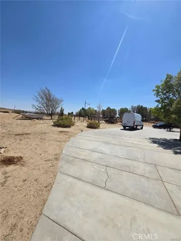Driveway/Yard