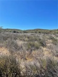 View of parcel.