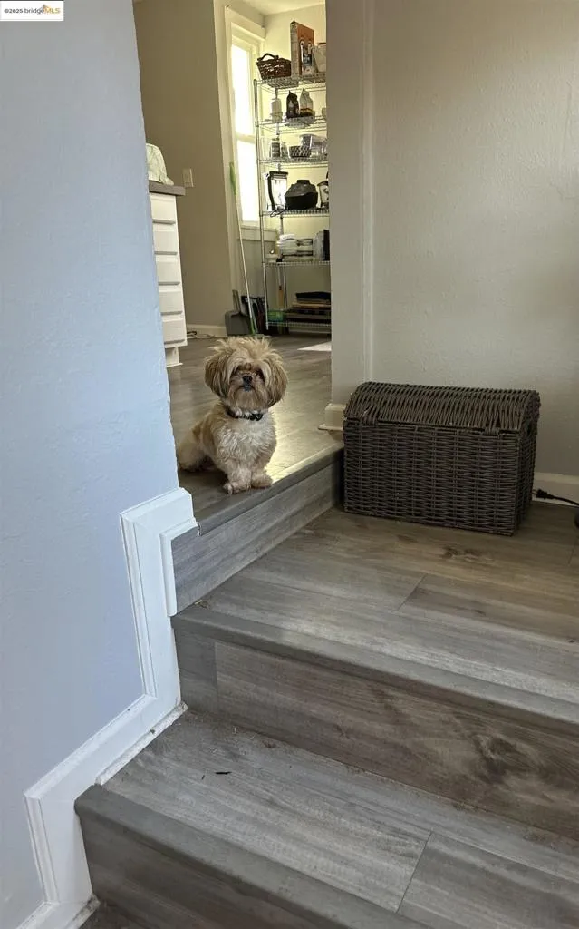 2816 Viola St, Oakland, California 94619 home-pic-8