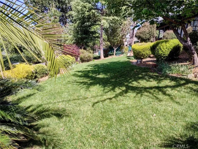 side view of large lawn area