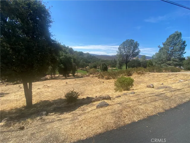 Lush views of Hidden Valley Lake golf course
