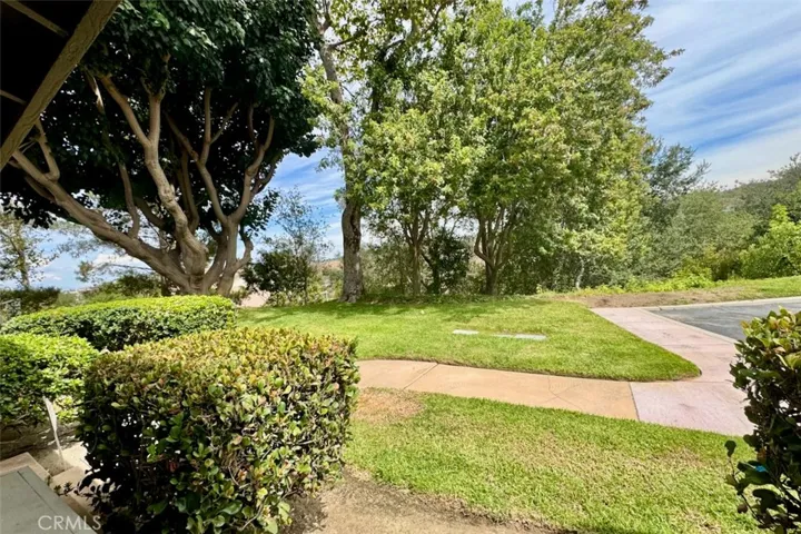 Panoramic Greenbelt View