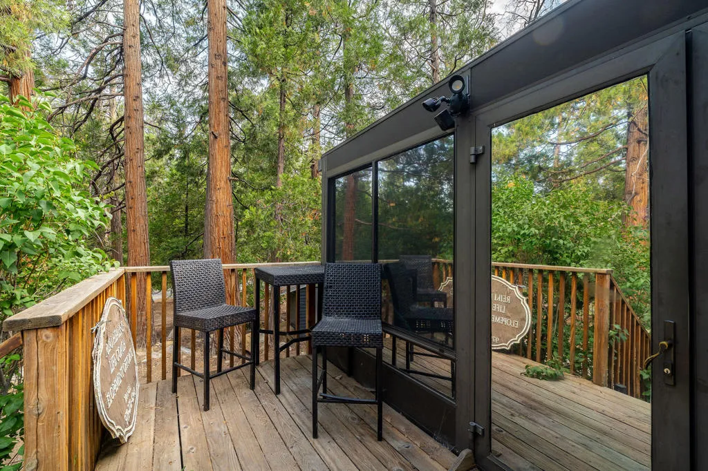 54105 S Circle Drive, Idyllwild, California 92549 home-pic-11