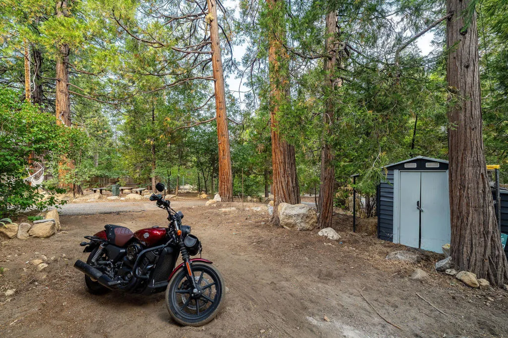 54105 S Circle Drive, Idyllwild, California 92549 home-pic-8