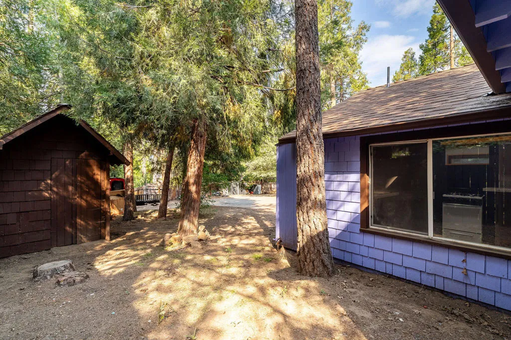 54105 S Circle Drive, Idyllwild, California 92549 home-pic-57