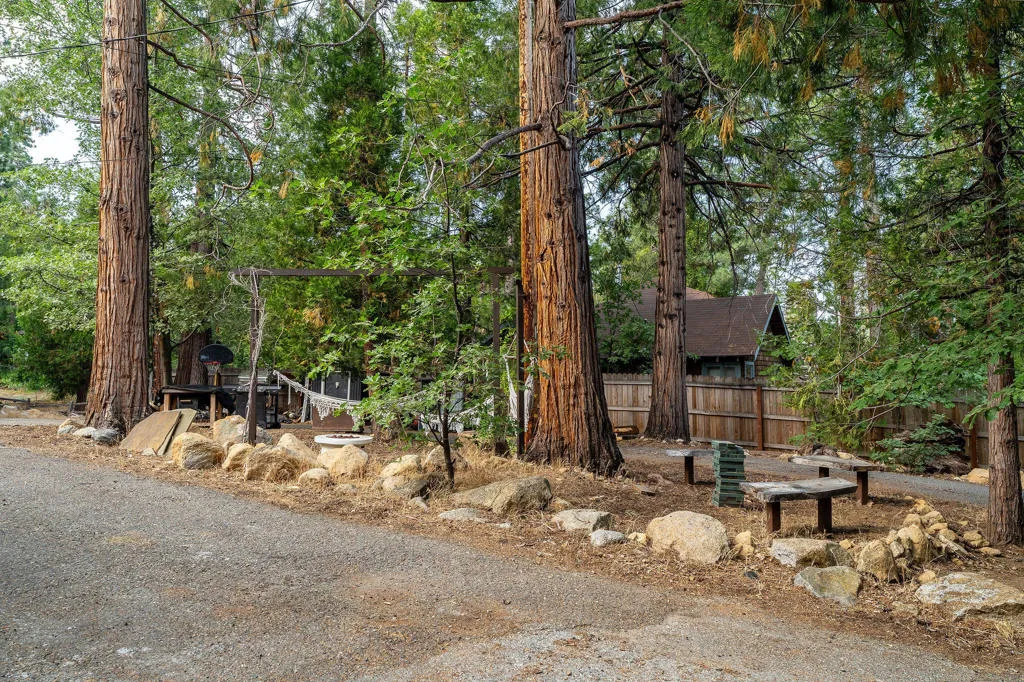 54105 S Circle Drive, Idyllwild, California 92549 home-pic-9