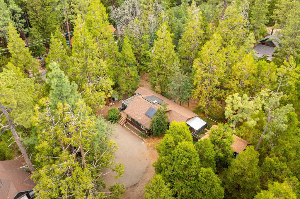 54105 S Circle Drive, Idyllwild, California 92549 home-pic-70
