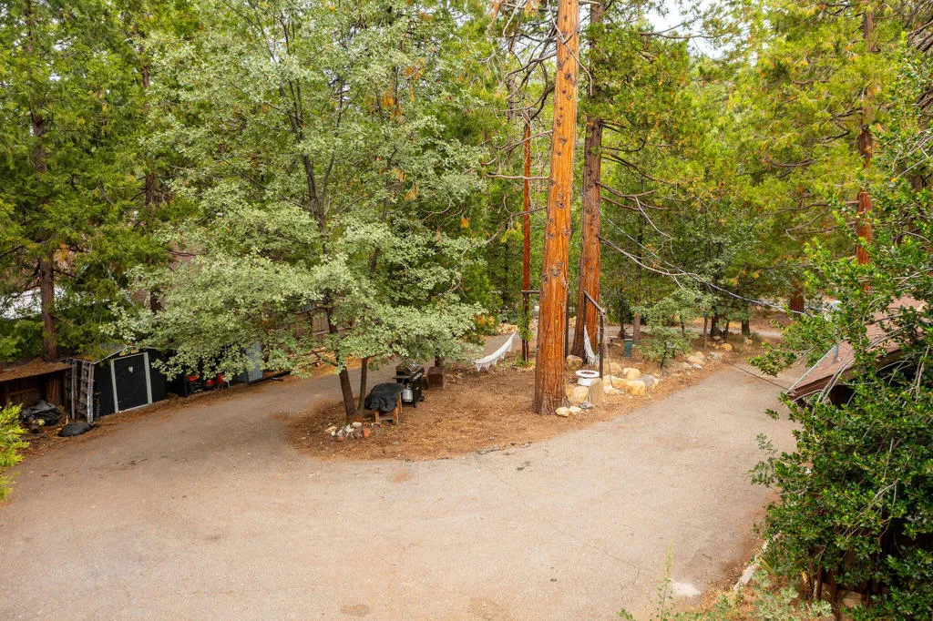 54105 S Circle Drive, Idyllwild, California 92549 home-pic-63