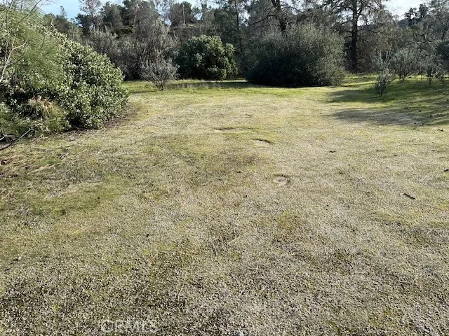 FLAT AREA FOR YOUR HOME-SEPTIC IN
