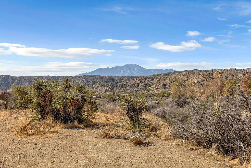 48819 Bird Of Paradise, Morongo Valley, California 92256 home-pic-61