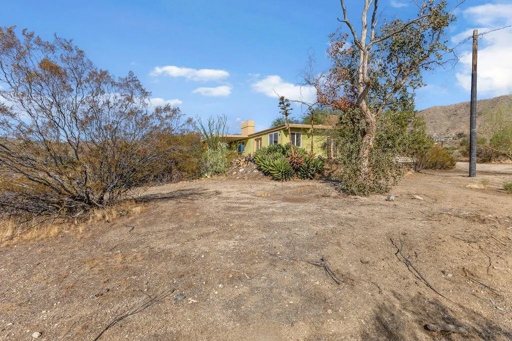 48819 Bird Of Paradise, Morongo Valley, California 92256 home-pic-57