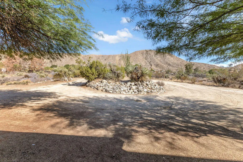 48819 Bird Of Paradise, Morongo Valley, California 92256 home-pic-60