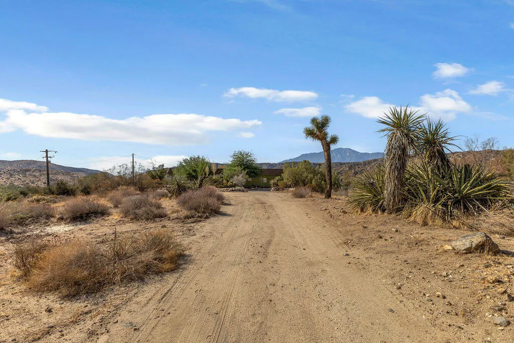 48819 Bird Of Paradise, Morongo Valley, California 92256 home-pic-58