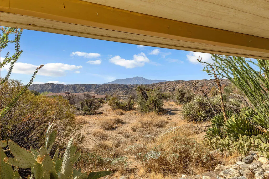 48819 Bird Of Paradise, Morongo Valley, California 92256 home-pic-56