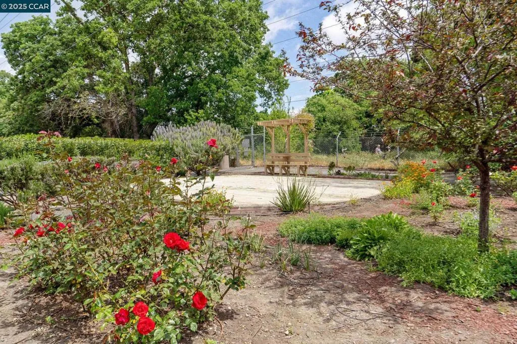 300 N Civic Dr 303, Walnut Creek, California 94596 home-pic-49