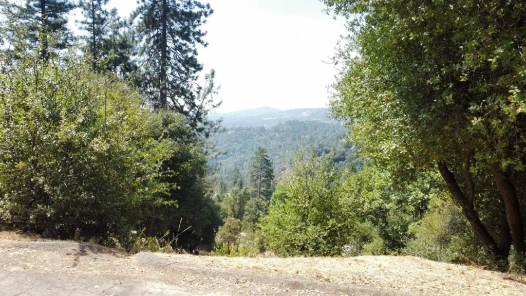 137 Deerhaven Drive, Tuolumne, California 95379 — photo 4