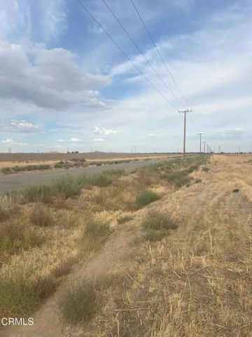 Road Side