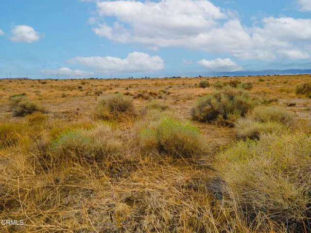 Open Range