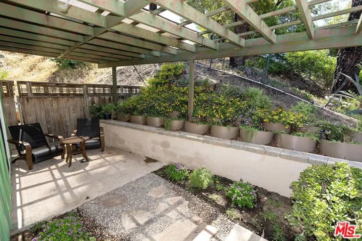 Lush Back Yard