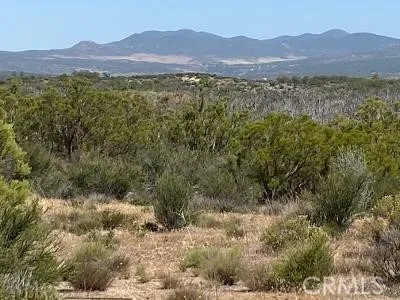 19 Higgins Road, Anza, California 92539