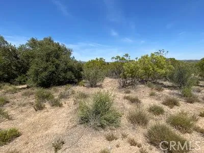 19 Higgins Road, Anza, California 92539