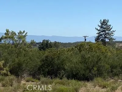 19 Higgins Road, Anza, California 92539