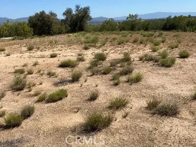 19 Higgins Road, Anza, California 92539