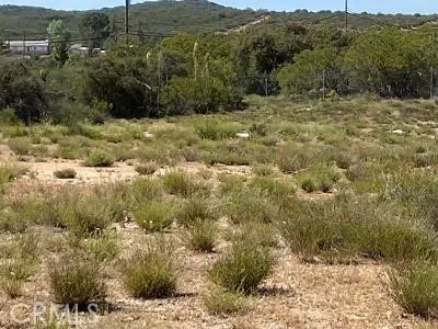 19 Higgins Road, Anza, California 92539