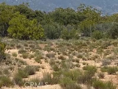 19 Higgins Road, Anza, California 92539